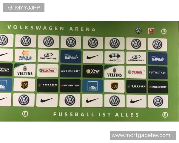 德甲球队青训体系的创新与发展现状分析